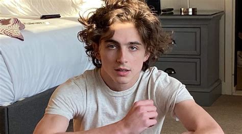 Timothee Chalamet Porn DeepFakes